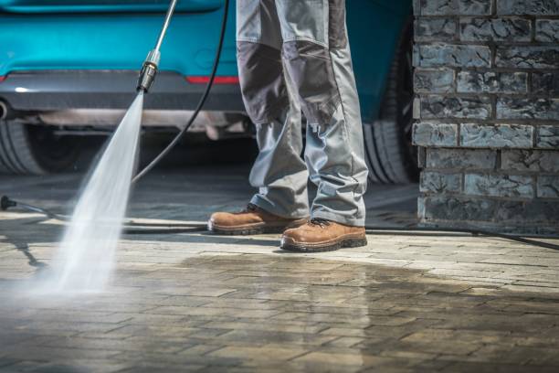 Best Driveway Pressure Washing  in Trion, GA