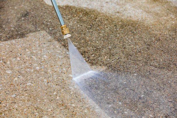 Best Pre-Holiday Cleaning  in Trion, GA