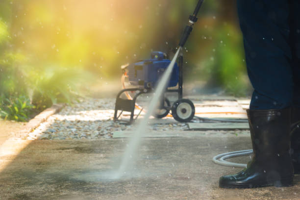 Best Sidewalk and Walkway Cleaning  in Trion, GA